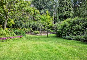Optimiser l'expérience du jardin à La Chapelle-de-Mardore